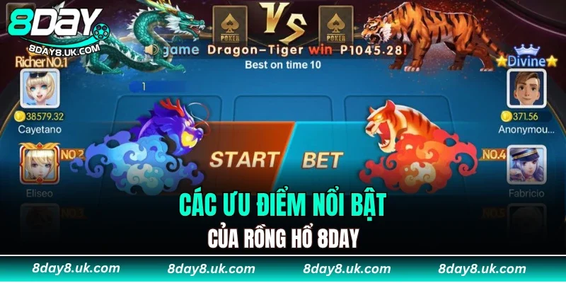 Các ưu điểm nổi bật của rồng hổ 8DAY Các ưu điểm nổi bật của rồng hổ 8DAY