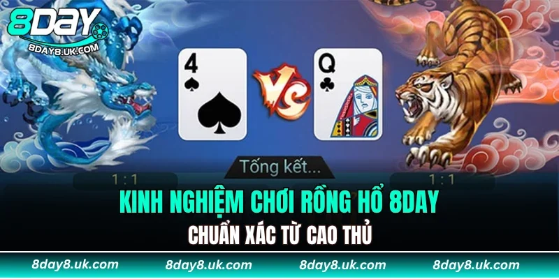 Kinh nghiệm chơi rồng hổ 8DAY chuẩn xác từ cao thủ Kinh nghiệm chơi rồng hổ 8DAY chuẩn xác từ cao thủ