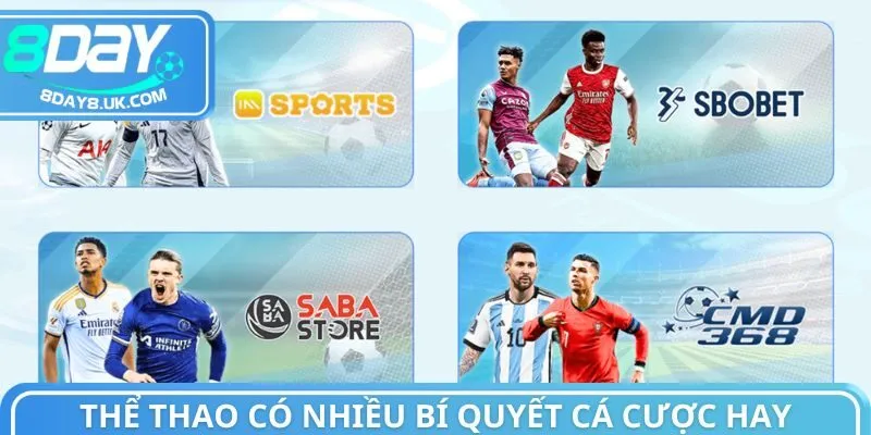 Thể thao có nhiều bí quyết cá cược cực hay